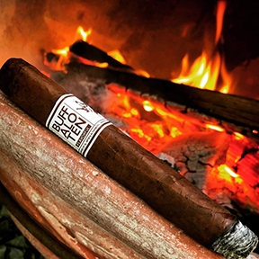 Buffalo TEN Maduro Cigars Just Added to Our Online Humidor!