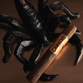 The New Camacho Broadleaf Cigars are In!