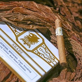 Liga Undercrown Shade Coronets Now Available at Milan Tobacconists!