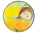 La-Tee-Da Butterfly Kisses Fragrance Lamp Refill