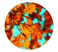 La-Tee-Da Falling Leaves Fragrance Lamp Refill La-Tee-Da Falling Leaves Fragrance Lamp Refill