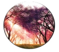 La-Tee-Da Mystic Garden Fragrance Lamp Refill La-Tee-Da Mystic Garden Fragrance Lamp Refill