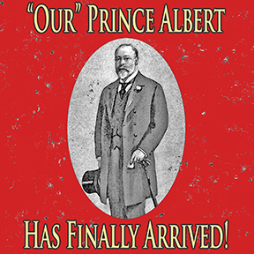 Our Prince Albert is Available Now!